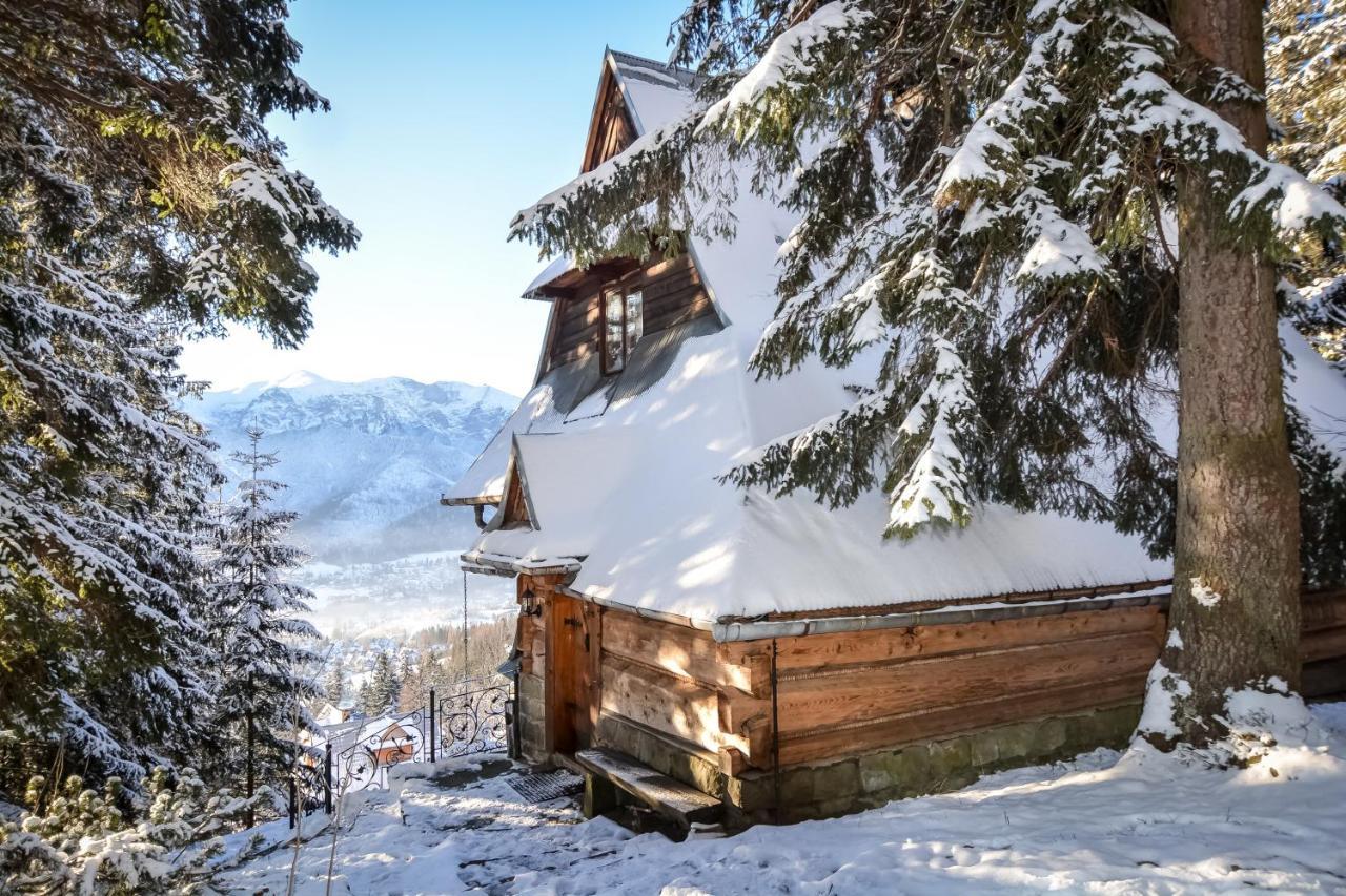 Chata Pod Bukiem 1 Villa Kościelisko Exterior foto